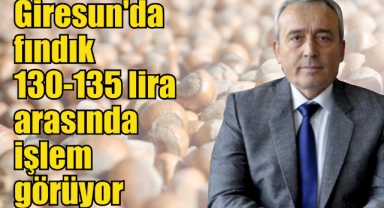 Giresun'da fındık 130-135 lira arasında işlem görüyor