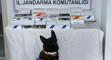 Giresun'da Kaçak Sigara ve Nargile Tütünü Operasyonu: 13 Bin 400 Makaron Ele Geçirildi