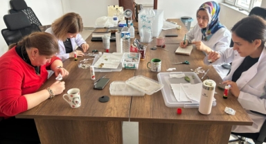 Giresun'da Kahverengi Kokarca Tehdidine Karşı Büyük Adım: 300 Bin Samuray Arısı Üretiliyor!