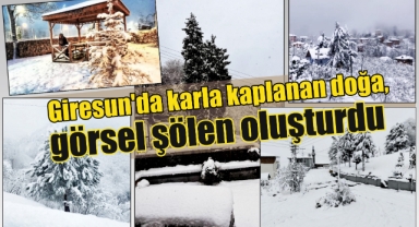 Giresun’da karla kaplanan doğa, görsel şölen oluşturdu