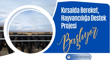 Giresun'da Kırsalda Bereket Hayvancılığa Destek Projesi Başvuruları Başladı! Son Başvuru Tarihi Ne Zaman?