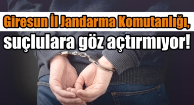 Giresun İl Jandarma Komutanlığı, suçlulara göz açtırmıyor!