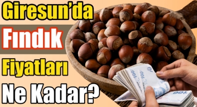 Giresun Serbest Piyasasında Fındık Fiyatları Ne Durumda? Fındık Fiyatları Yükseldi Mi?