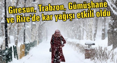 Giresun, Trabzon, Gümüşhane ve Rize'de kar yağışı etkili oldu