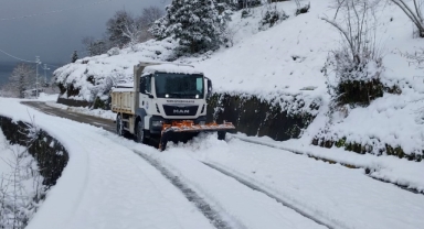 Giresun, Trabzon, Rize, Artvin ve Gümüşhane'de 380 yerleşim yerinin yolu ulaşıma kapalı