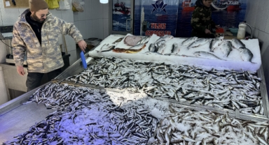 Karadeniz'de etkili olan soğuk hava muhalefeti balık avcılığını ve fiyatları olumsuz etkiliyor