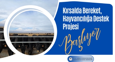 Kırsalda Bereket, Hayvancılığa Destek Projesi Başvuruları 28 Şubat’ta Sona Eriyor!