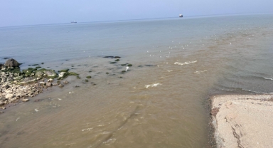 Giresun’da Deniz Kirliliği Alarmı: İhmal mi Var, Plansızlık mı?