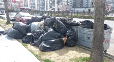 Giresun Sahil’de Çöp Yığını: Belediye Çalışmıyor Mu?