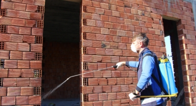 Hava sıcaklıkların artması ile kahverengi kokarcalar yeniden kendini göstermeye başladı