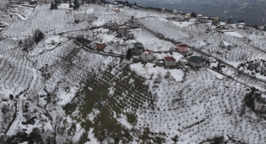 Kar fındıkta verim kaybına neden olmadı