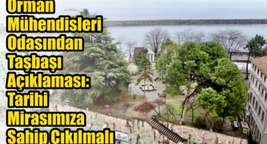 Orman Mühendisleri Odasından Taşbaşı Açıklaması: Tarihi Mirasımıza Sahip Çıkılmalı