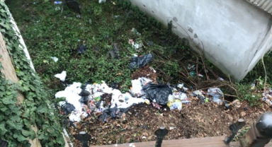 Park mı Çöplük Mü? Taşbaşı'nın Geleceği Şekilleniyor!