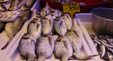 Ramazan'da balığa yoğun ilgi