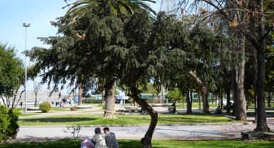 Samsun’da hava sıcaklığı mevsim normallerinin 25 derece üstüne çıktı, rekorun kıyısından dönüldü