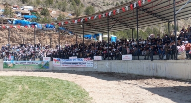 Artvin'de 500 kilogramlık boğa bakıcısını hastanelik etti