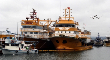 Balıkçılık ve su ürünleri üzerine hazırlanan rapor, sürdürebilir avcılık için umut veriyor