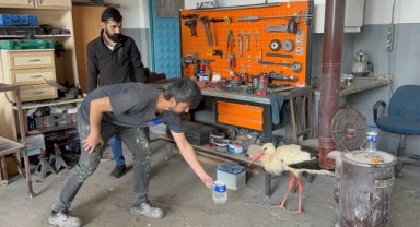 Bitkin haldeki leyleğe oto kaporta ustası sahip çıktı