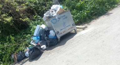 Çöp Yığınları Vatandaşın Keyfini Kaçırıyor!