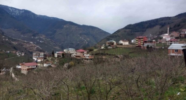 Danıştay kararını verdi: 35 yıl sonra iki köy Giresun'a bağlandı