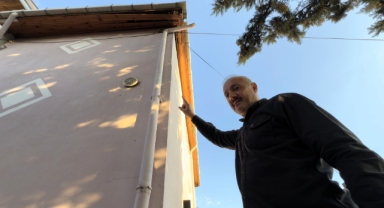 Evin çatısına yıldırım düştü, yuvadaki kuşlar telef oldu