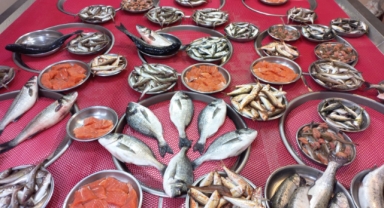 Giresun'da balık fiyatları bugün ne kadar?