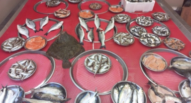 Giresun'da balık fiyatları bugün ne kadar?