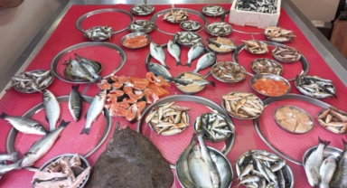 Giresun'da balık fiyatları bugün ne kadar?