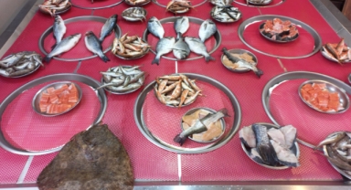 Giresun'da balık fiyatları bugün ne kadar?