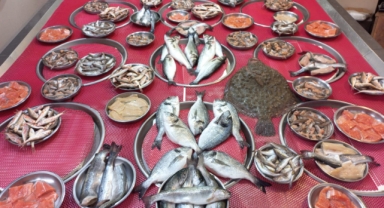 Giresun'da balık fiyatları bugün ne kadar?