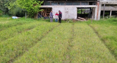 Giresun’da Salep Üretiminin Geliştirilmesi Projesi Devam Ediyor