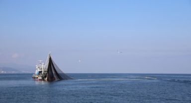 Giresun İl Tarım ve Orman Müdürlüğü'nden Av Yasağı Uyarısı: Denizlerde Av Yasağı 15 Nisan’da Başlıyor