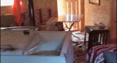 Giresun ile Trabzon sınırında yer alan Sis Dağı Yaylası’nda ayıların yayla evlerindeki talanı sürüyor