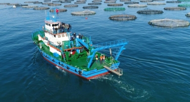Karadeniz Bölgesi'nin su ürünleri ihracatı ilk çeyrekte 62 milyon doları aştı