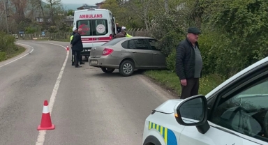 Sokak köpeklerine çarpmamak için kaza yaptı: 2 yaralı