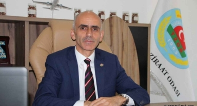 Fiskobirlik’in arazisi ile ilgili olarak Nurittin Karan; CHP’li Giresun Belediye Başkanına  ve Ak Parti Sakarya Milletvekili Fiskobirlik Başkanı Lütfi Bayraktar’a soruyor: Babanın Malını mı Satıyorsun?