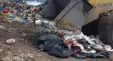 Amasya'da gıda denetimlerinde 415 kg yoğurt, 305 litre yağ ve 970 kg kırmızı et imha edildi   