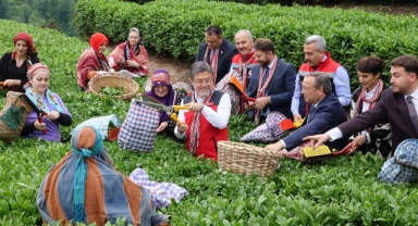 Bakan İbrahim Yumaklı: ‘Meteorolojik olayların çaya bizim korktuğumuz kadar bir etkisi olmadı’
