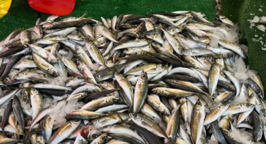 Balık sezonu bitmesine rağmen tezgahlarda hareketlilik sürüyor