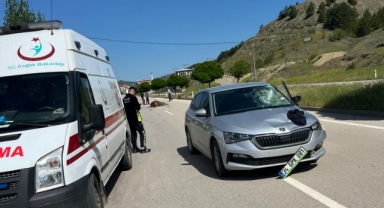 Bayat'ta ineğe çarpan otomobilin sürücüsü yaralandı