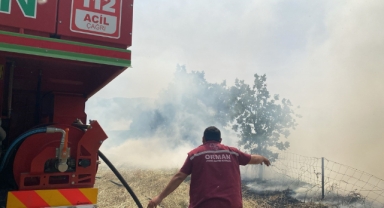 Çanakkale'deki orman yangını kontrol altına alındı