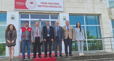Fındıkta İklim Riski ve İyileştirme Çalışmaları Görüşüldü