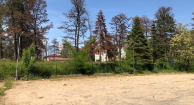 Fuat Köse'nin Giresun'u: Hizmet Yok, Şikayet Çok