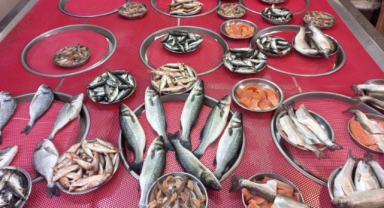 Giresun'da balık fiyatları bugün ne kadar?