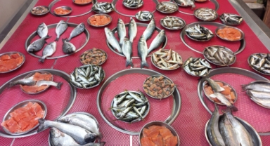 Giresun'da balık fiyatları bugün ne kadar?