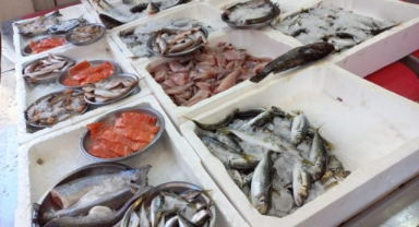 Giresun'da balık fiyatları bugün ne kadar?