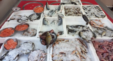 Giresun'da balık fiyatları bugün ne kadar?