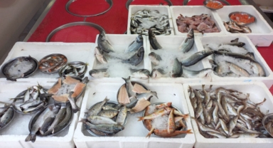 Giresun'da balık fiyatları bugün ne kadar?