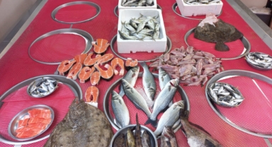 Giresun'da balık fiyatları bugün ne kadar?