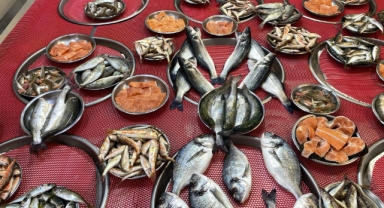 Giresun'da balık fiyatları bugün ne kadar?